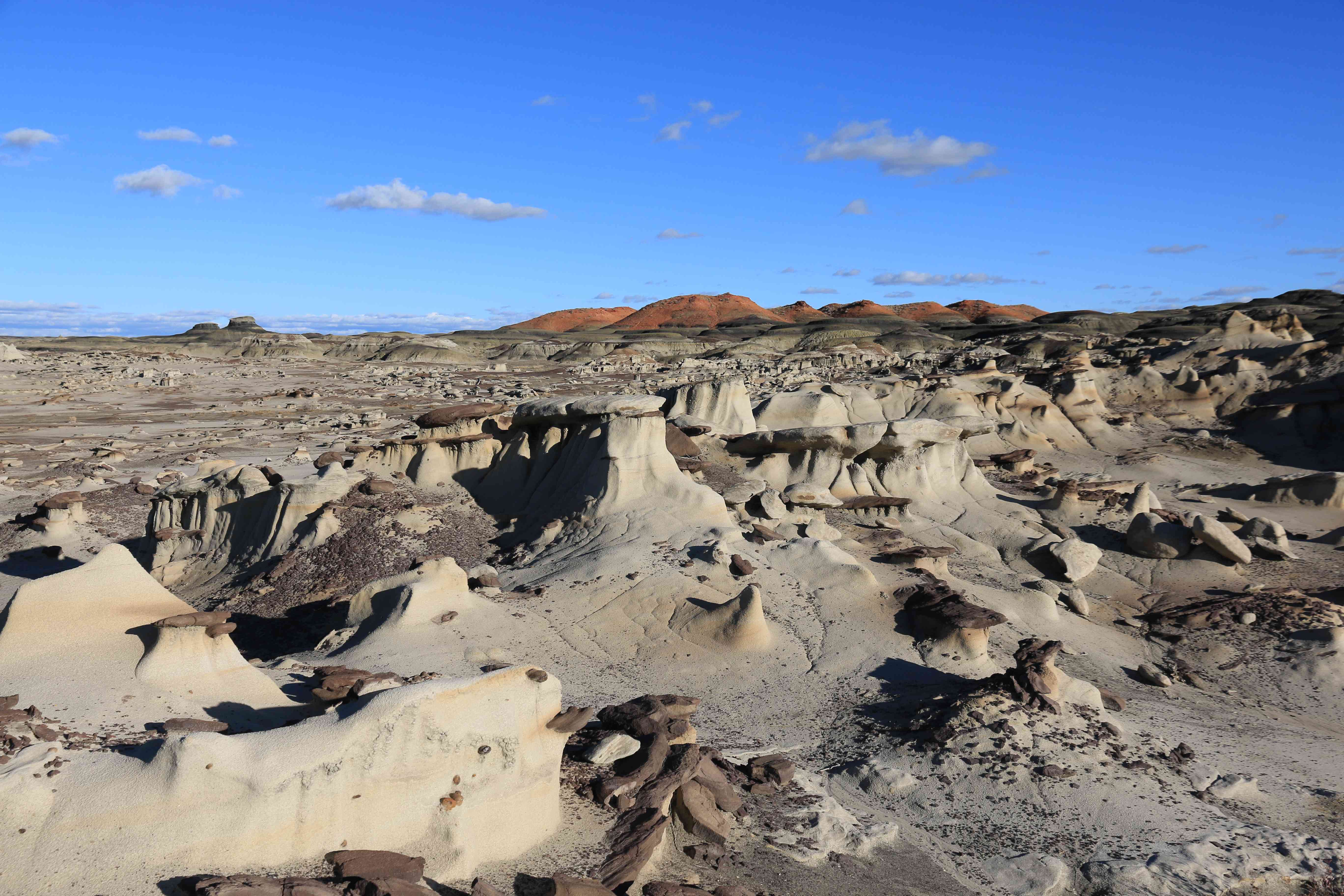 Bisti Badlands